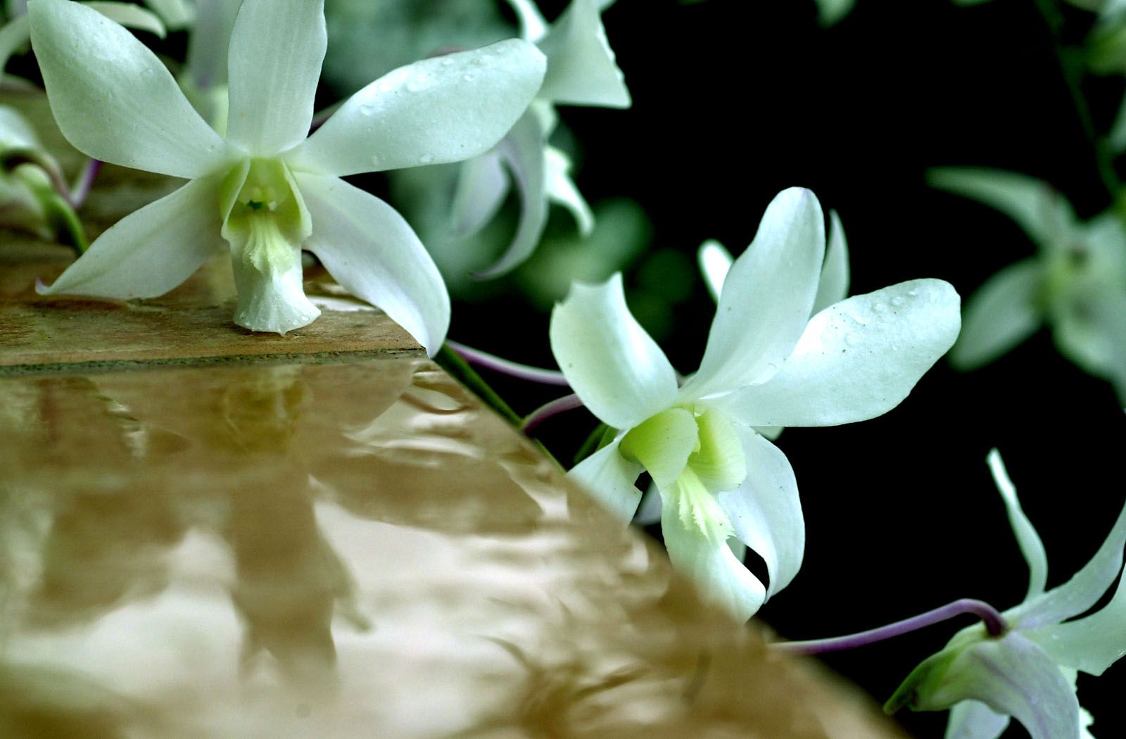 SF-No.085 Yuko Takeuchi 竹内結子-图15