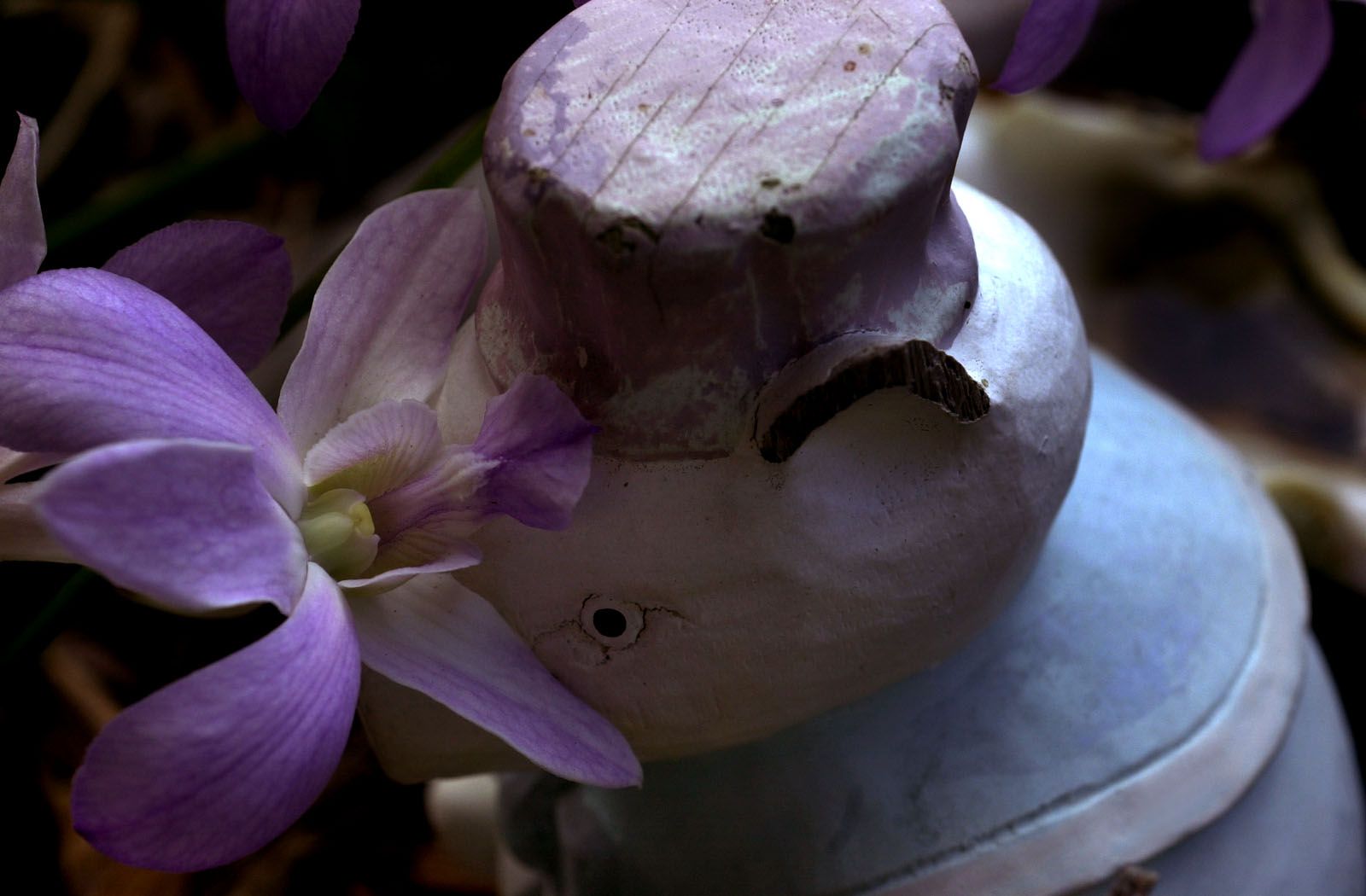 SF-No.085 Yuko Takeuchi 竹内結子-图19