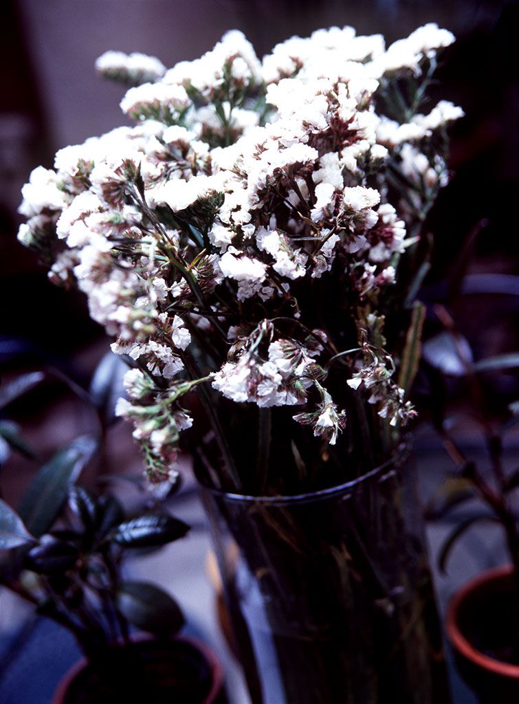 SF-No.089 Mayuko Yoshida 吉田真由子-图17