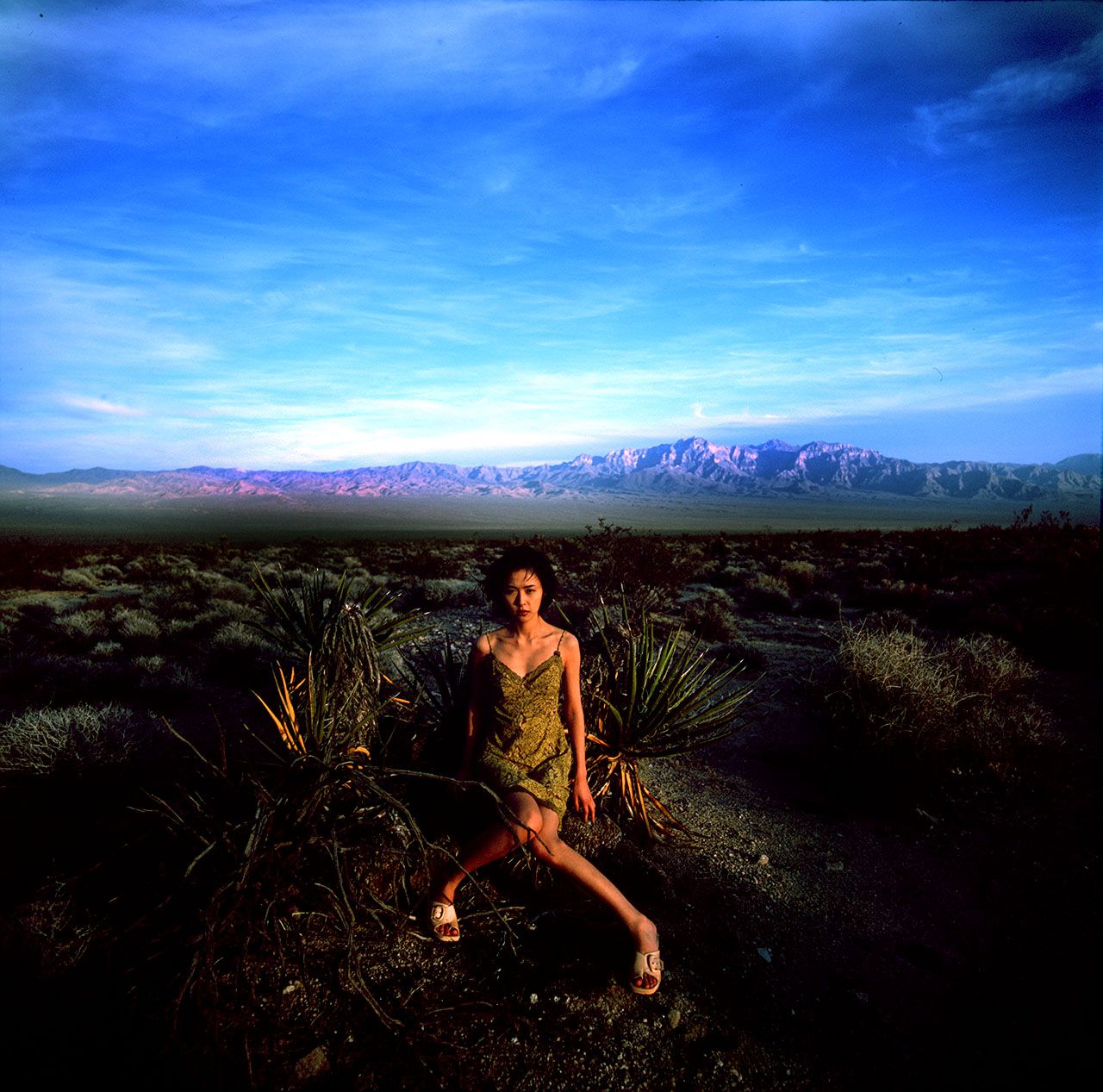 SF-No.090 Mayuko Yoshida 吉田真由子-图21