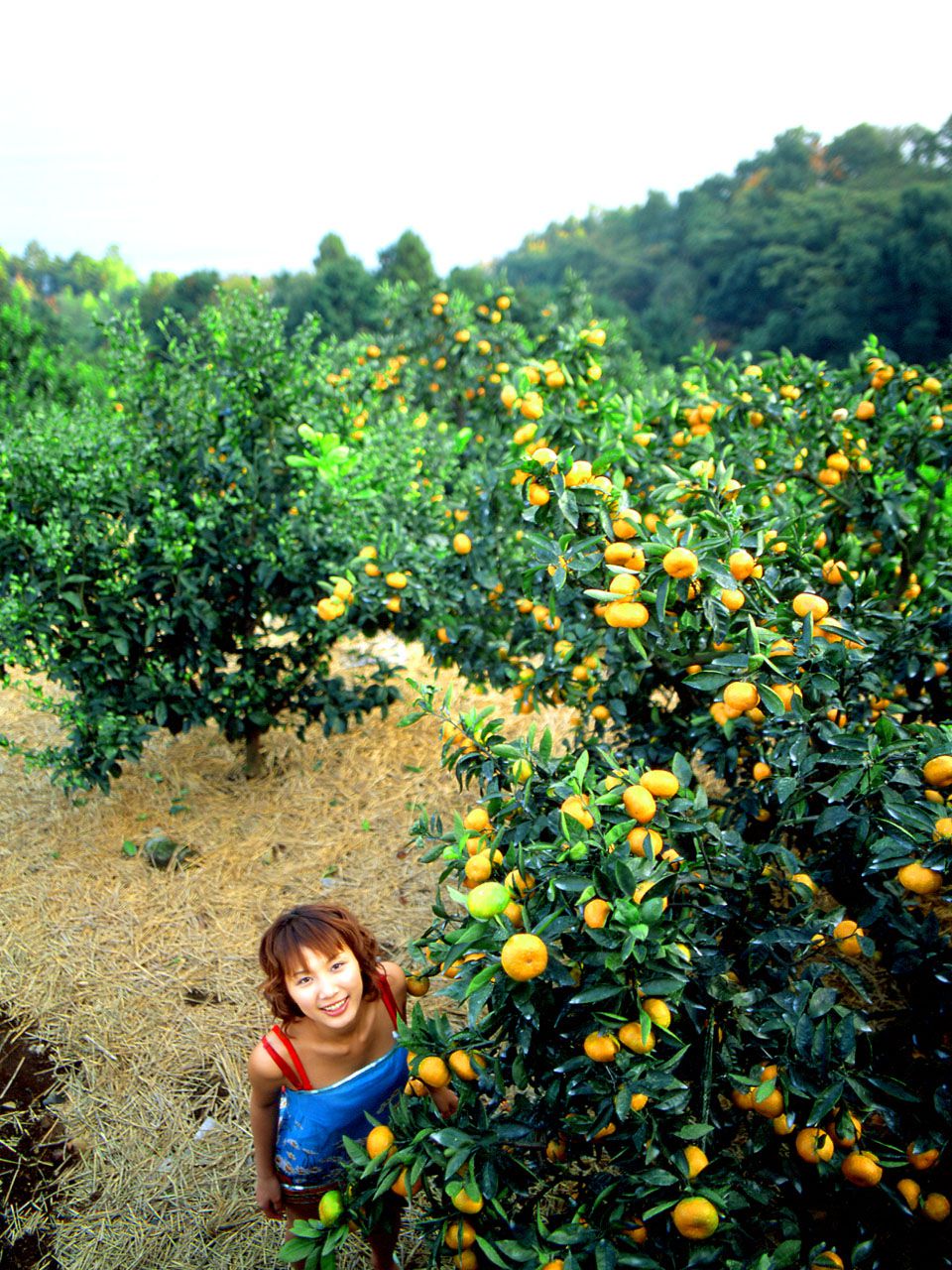 SF-No.110 Asumi Kato 加藤明日美/加藤瑛子-图20
