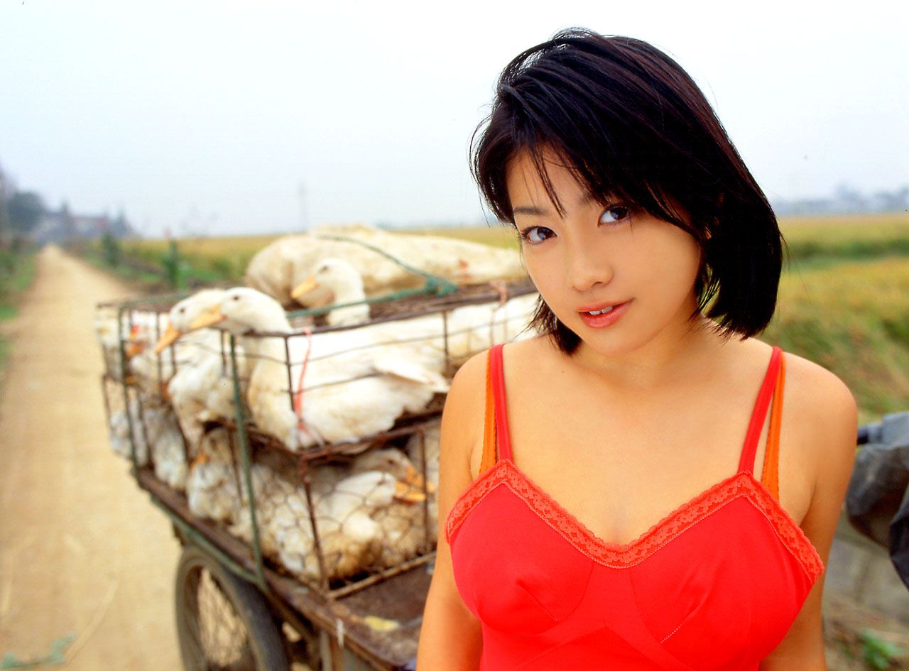 SF-No.126 Minako Komukai 小向美奈子 - UNDERAGE!-图22