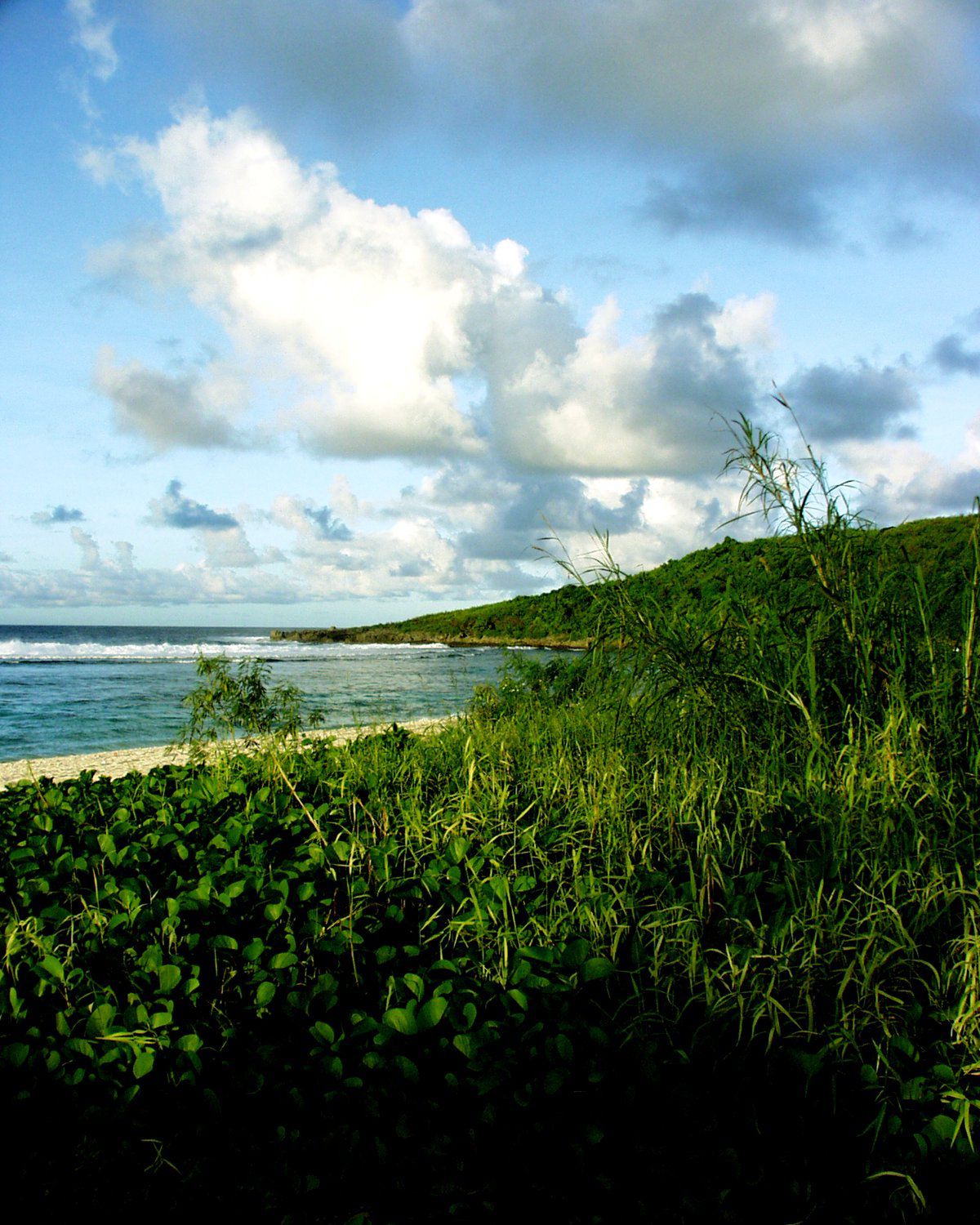 SF-No.134 Aki Kawamura 川村亜紀-图16