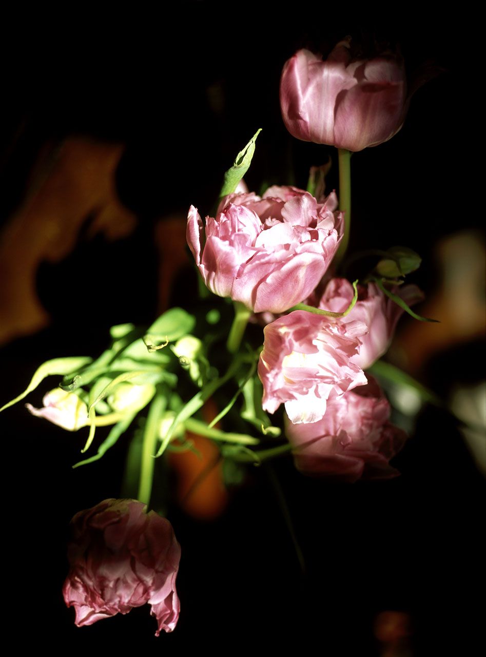 SF-No.138 Remi Kawashima 川島令美-图35