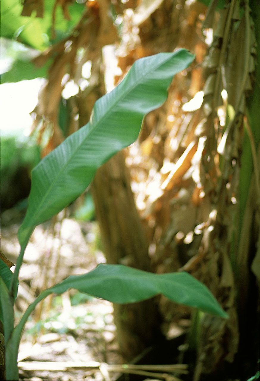 SF-No.142 Miyuki Sakai 酒井美雪-图13