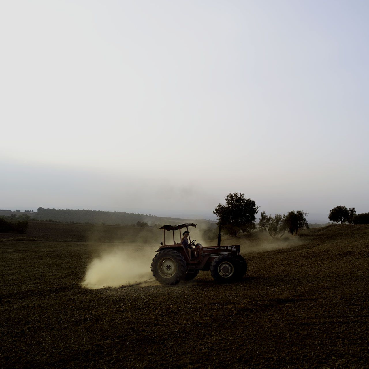 SF-No.144 Mari Hoshino 星野真里/星野真理-图39