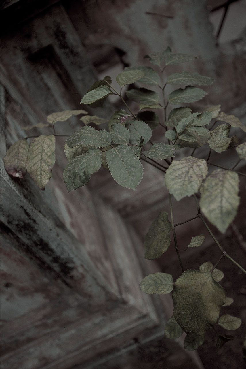 SF-No.149 Akiko Yada 矢田亜希子/矢田亚希子-图16