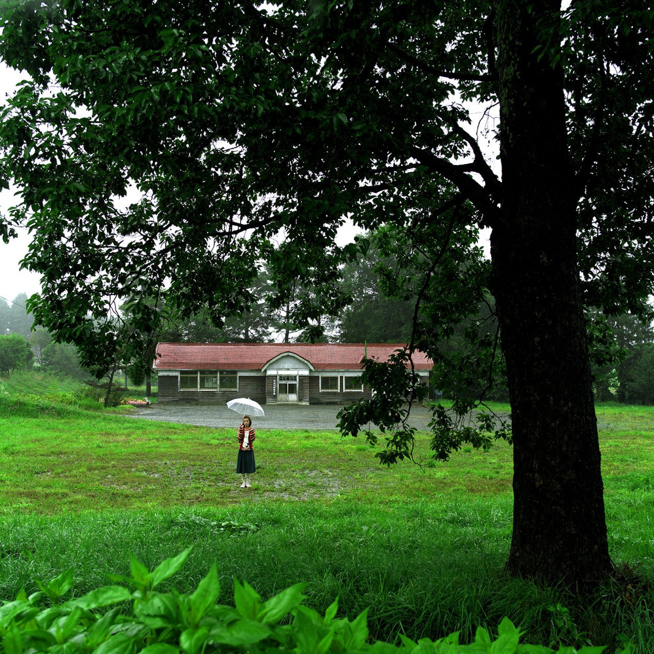 SF-No.155 Rena Tanaka 田中麗奈/田中丽奈-图17