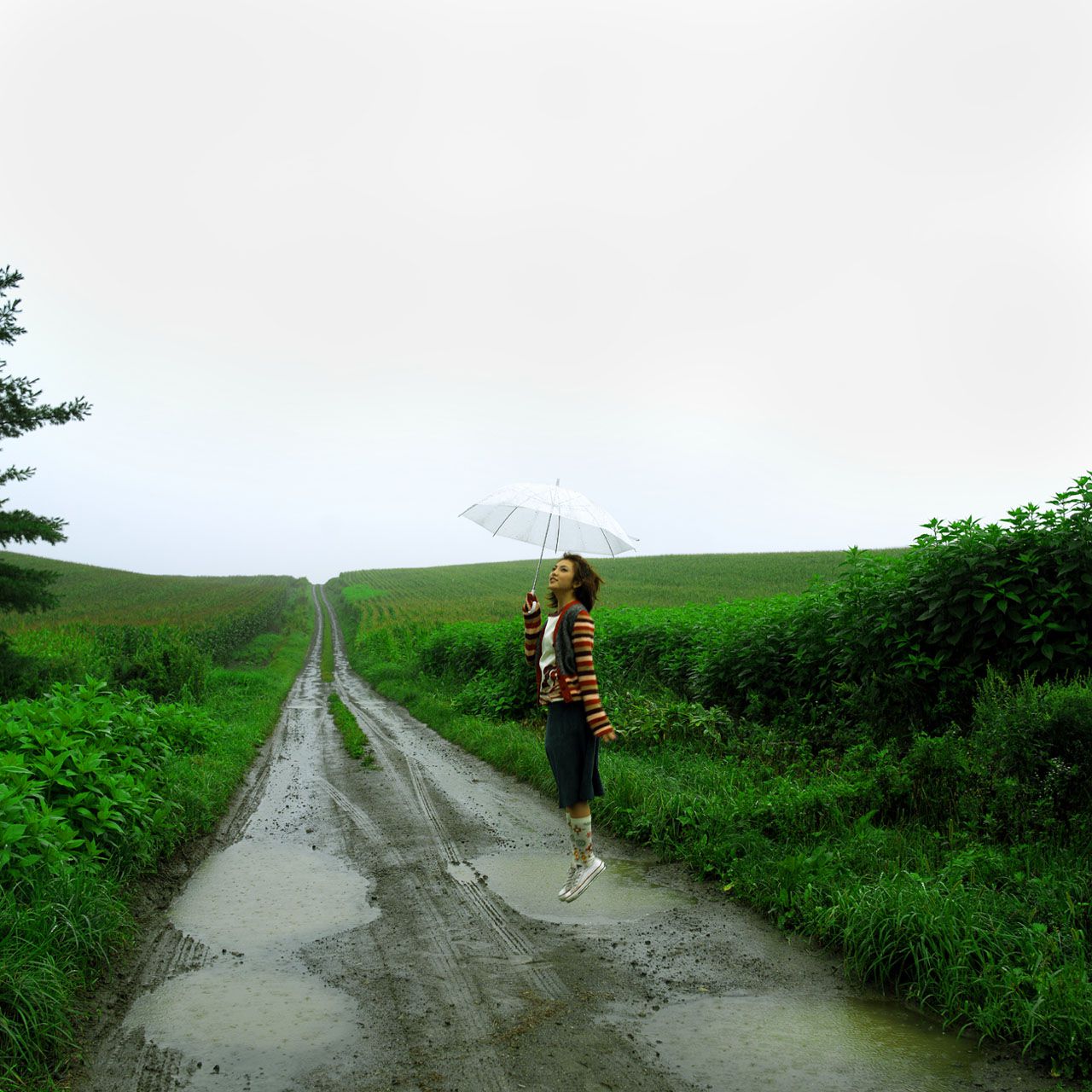 SF-No.155 Rena Tanaka 田中麗奈/田中丽奈-图22