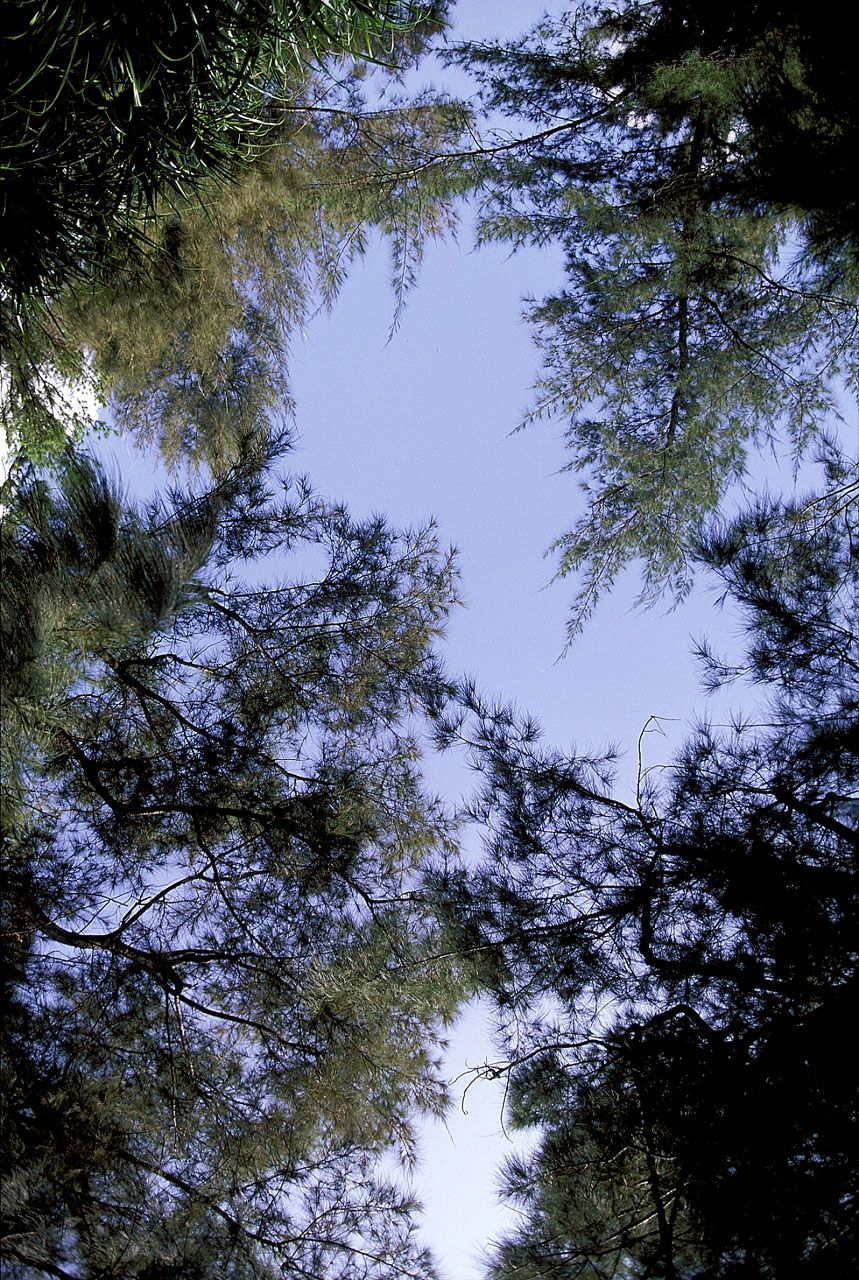 SF-No.162 Natsuki Harada 原田夏希-图33