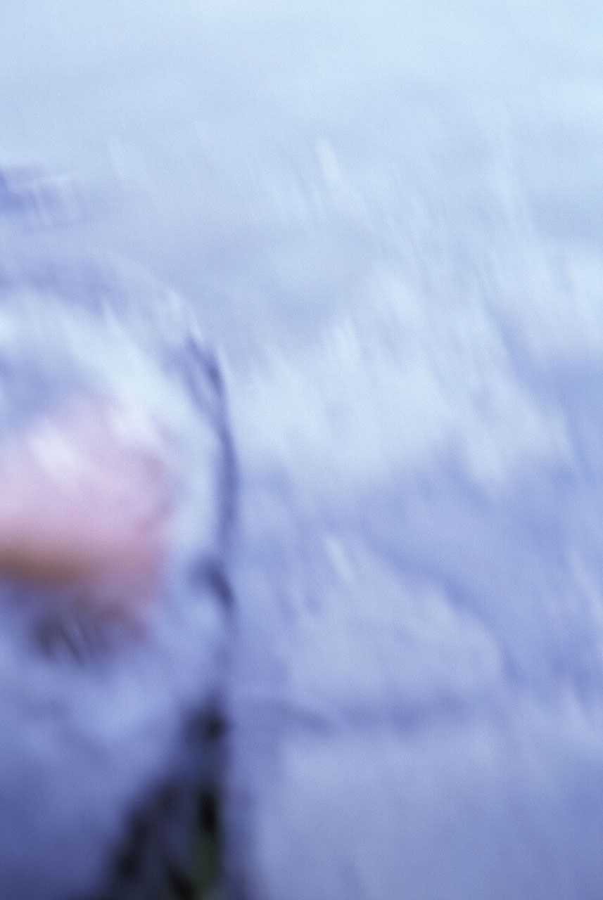 SF-No.162 Natsuki Harada 原田夏希-图40