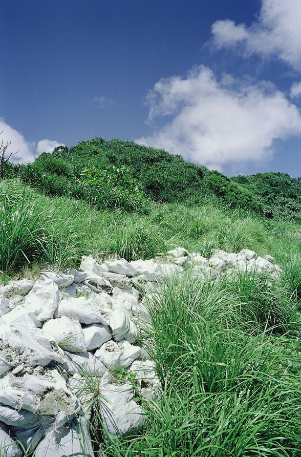 SF-No.163 Moemi Tominaga 冨永萌美-图0