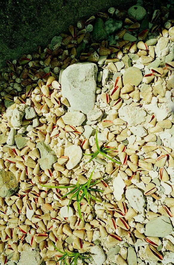 SF-No.163 Moemi Tominaga 冨永萌美-图5