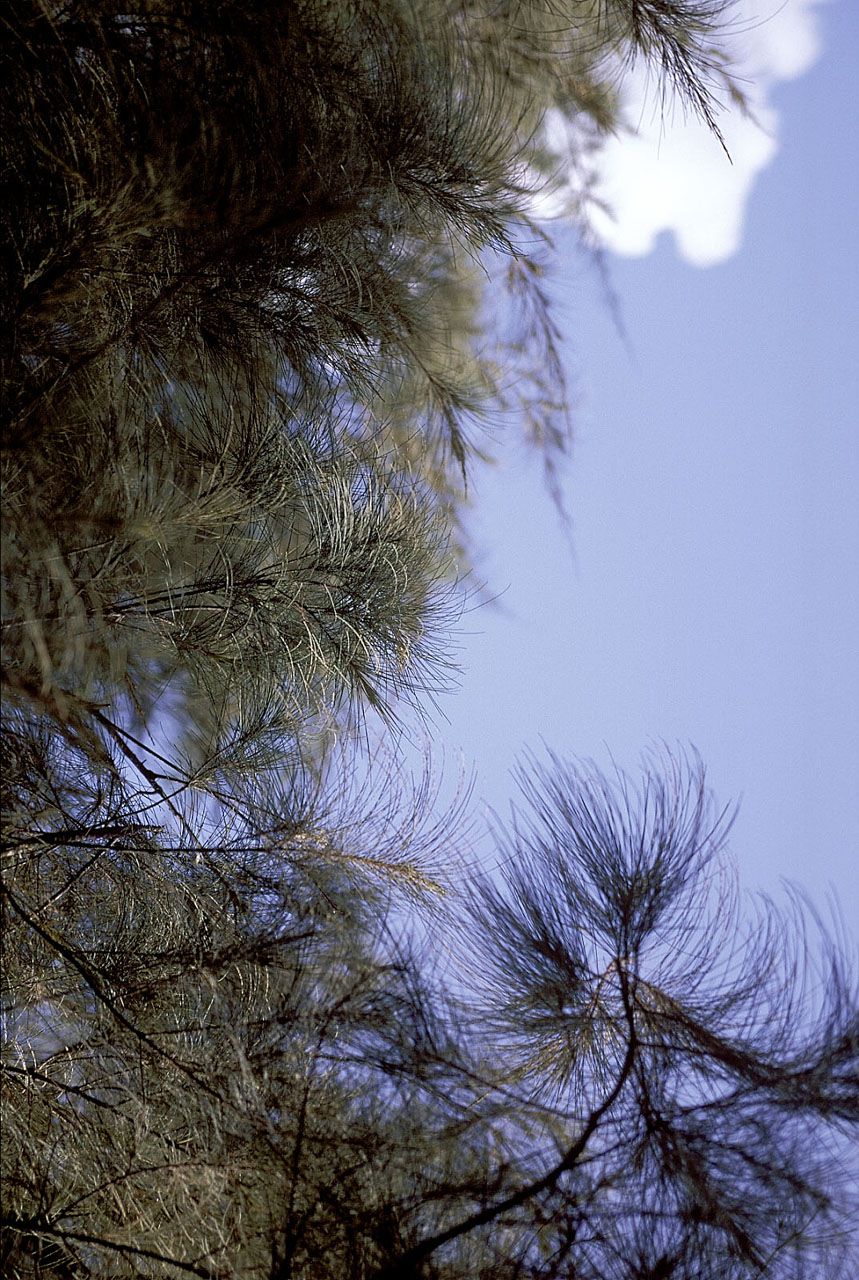 SF-No.168 Natsuki Harada 原田夏希 -UNDERAGE!-图10