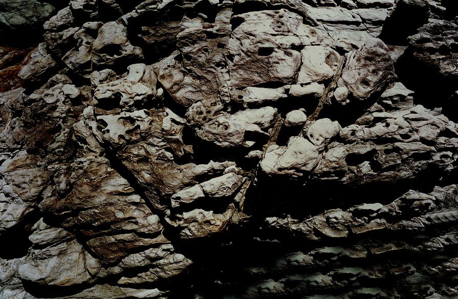 SF-No.173 Natsuki Harada 原田夏希-图13