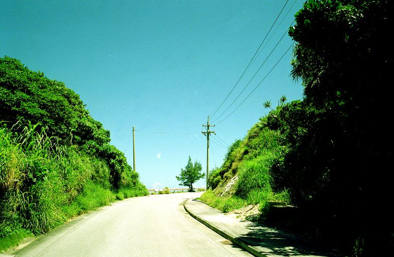 SF-No.173 Natsuki Harada 原田夏希-图28