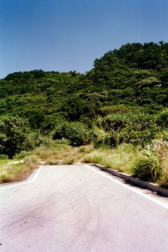 SF-No.173 Natsuki Harada 原田夏希-图36