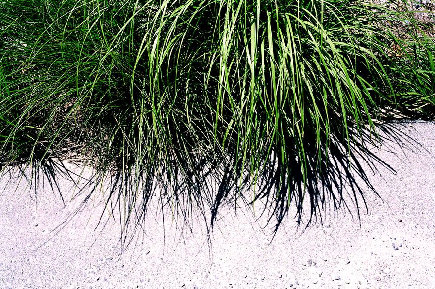 SF-No.173 Natsuki Harada 原田夏希-图46