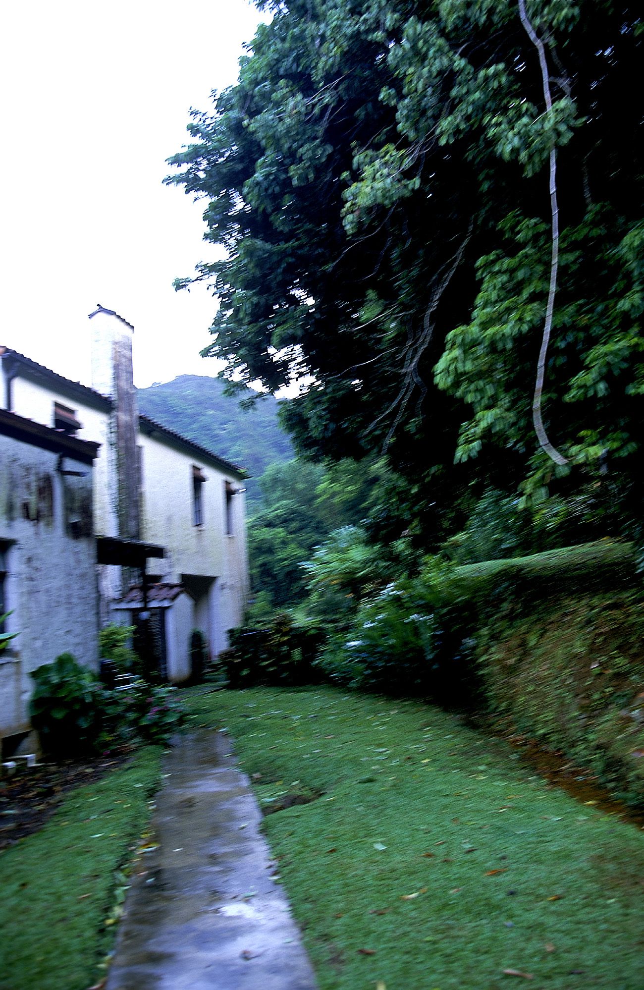 SF-No.181 Asuka Yanagi 柳明日香-图30