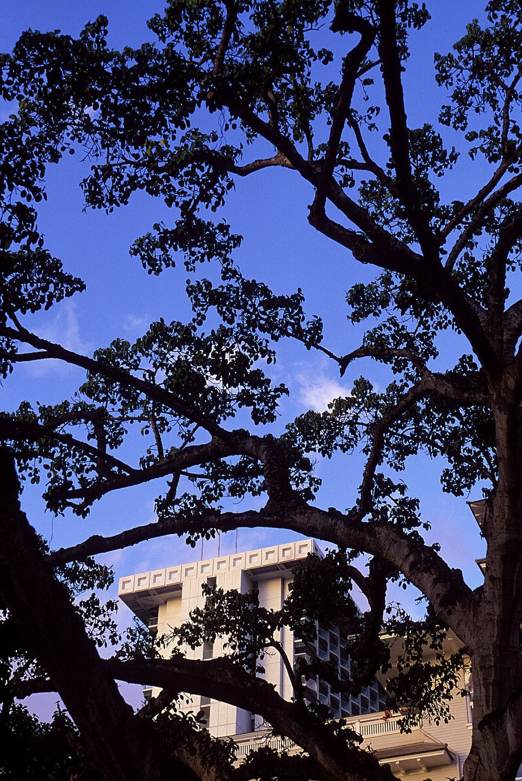 SF-No.181 Asuka Yanagi 柳明日香-图36