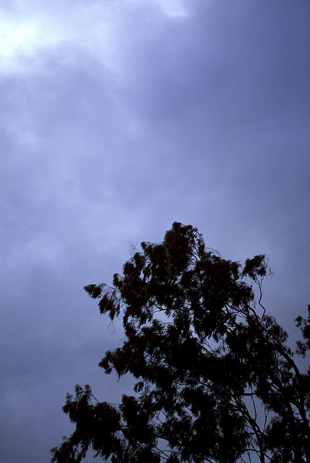 SF-No.181 Asuka Yanagi 柳明日香-图43