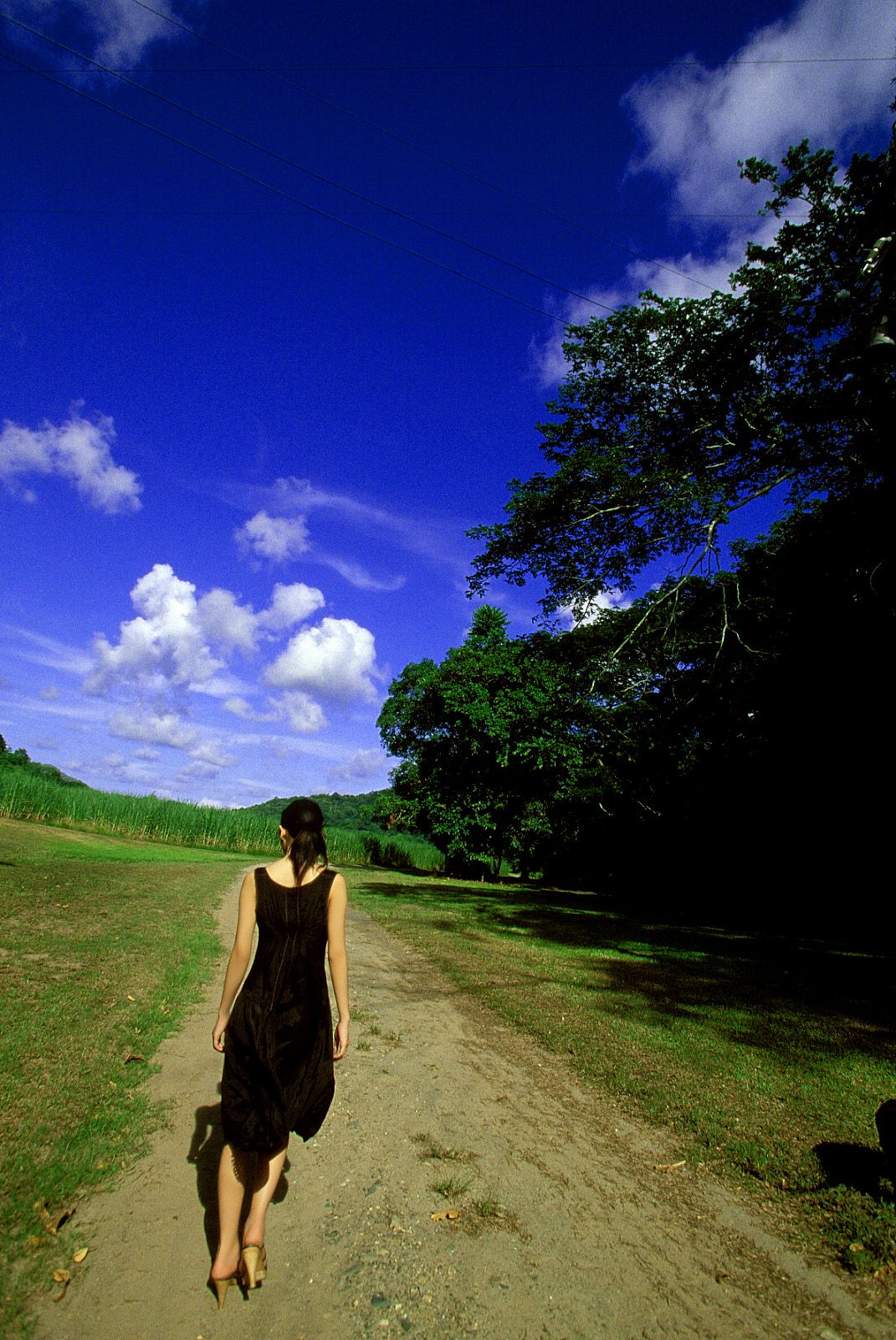 SF-No.182 Minori Kousaki 紅咲美乃里/波多野里美-图19