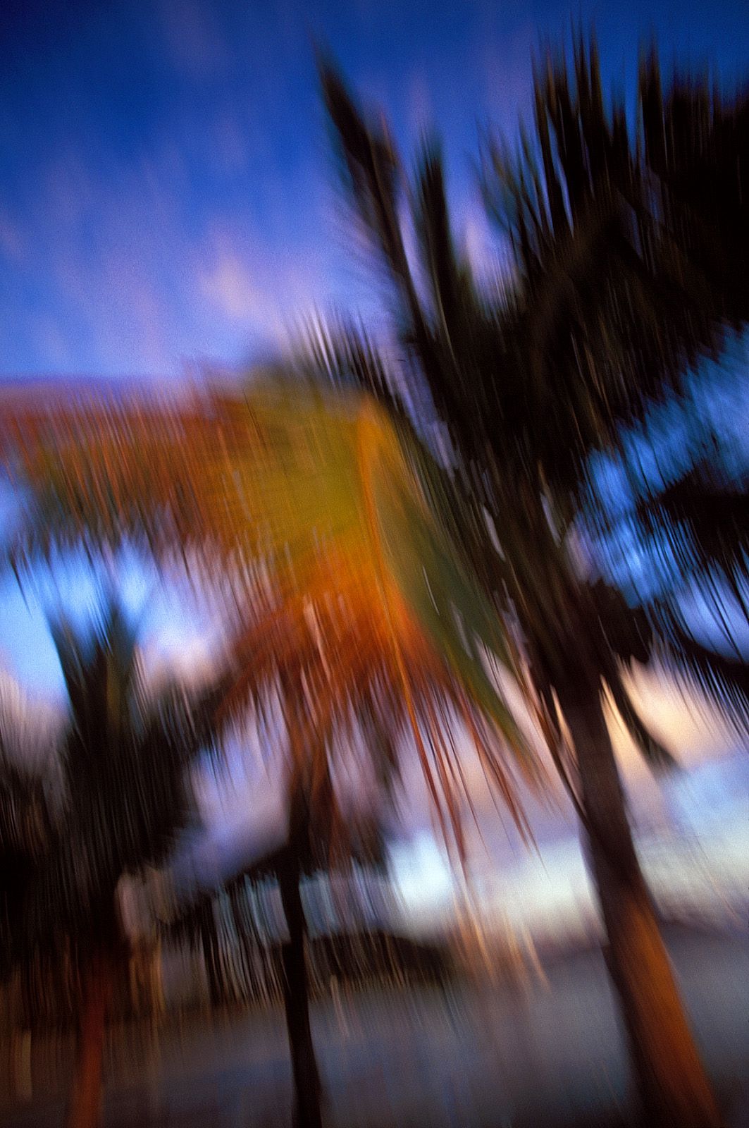 SF-No.185 Asuka Yanagi 柳明日香-图13