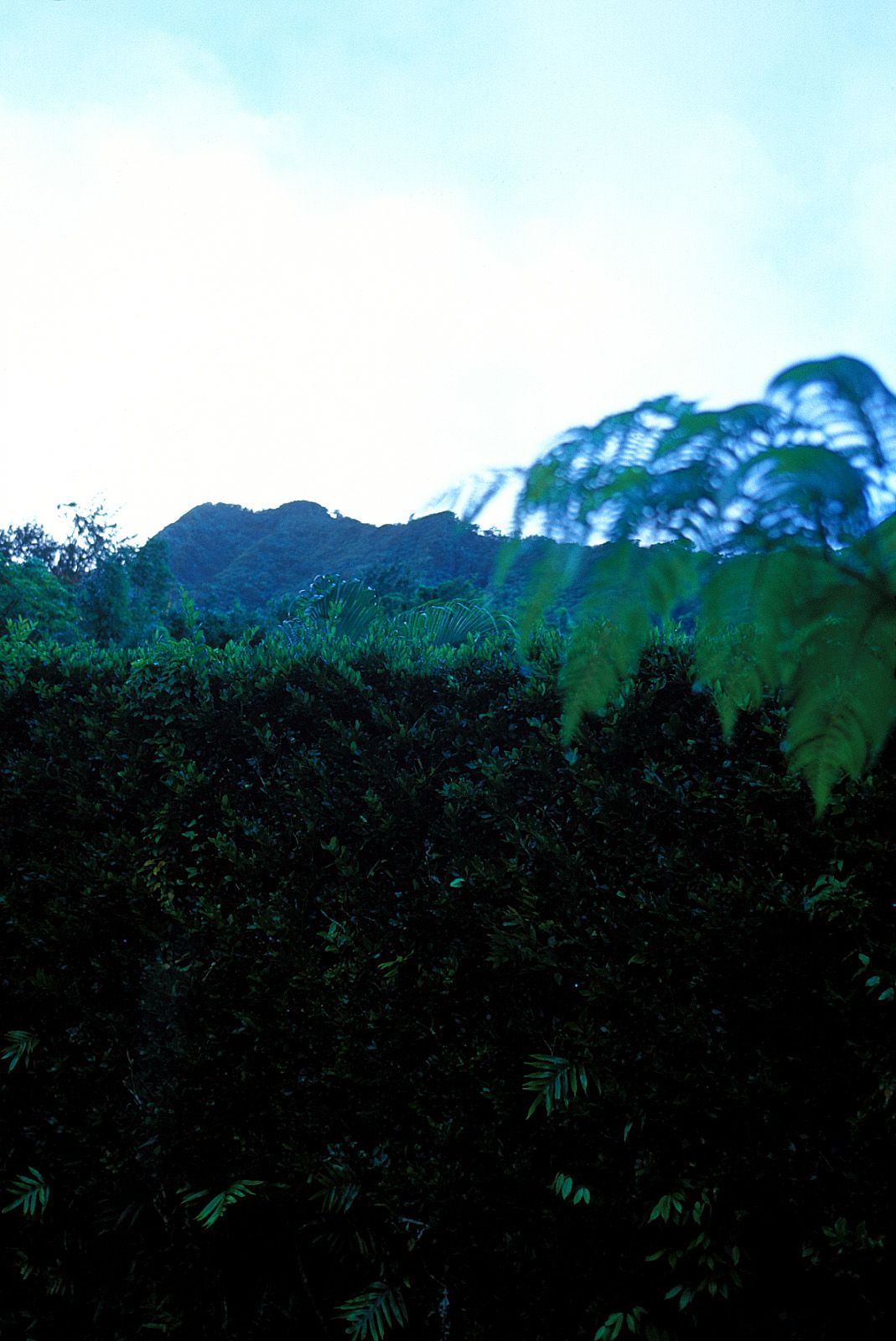 SF-No.185 Asuka Yanagi 柳明日香-图15