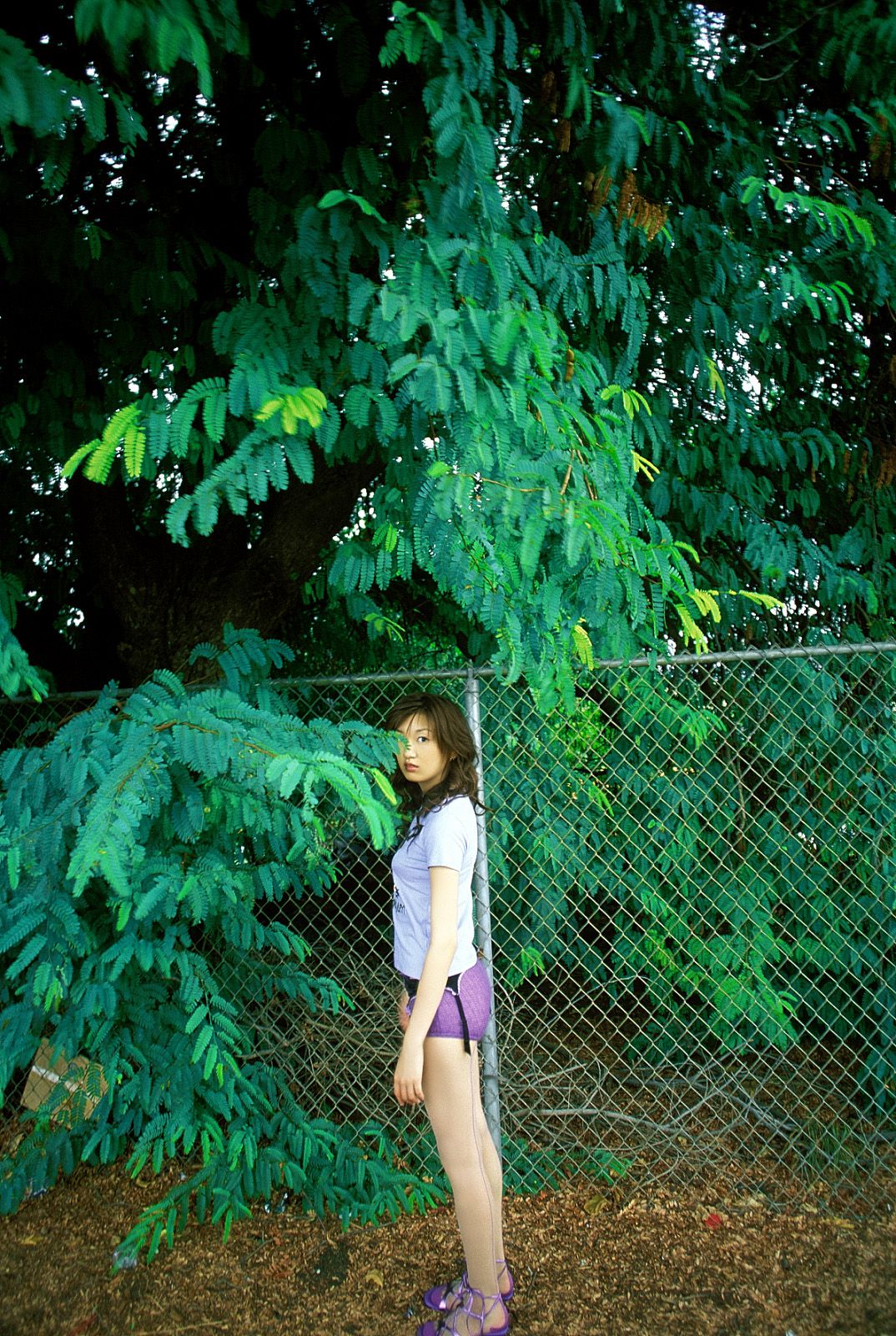 SF-No.185 Asuka Yanagi 柳明日香-图42