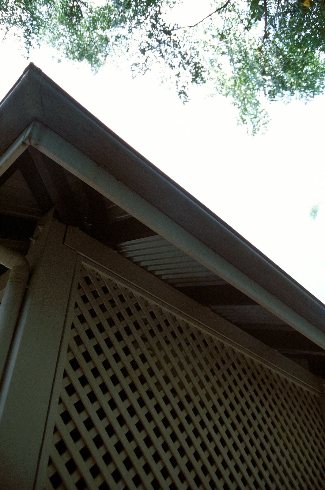 SF-No.186 Miyuu Inaba 稻葉美優/木村深華-图16