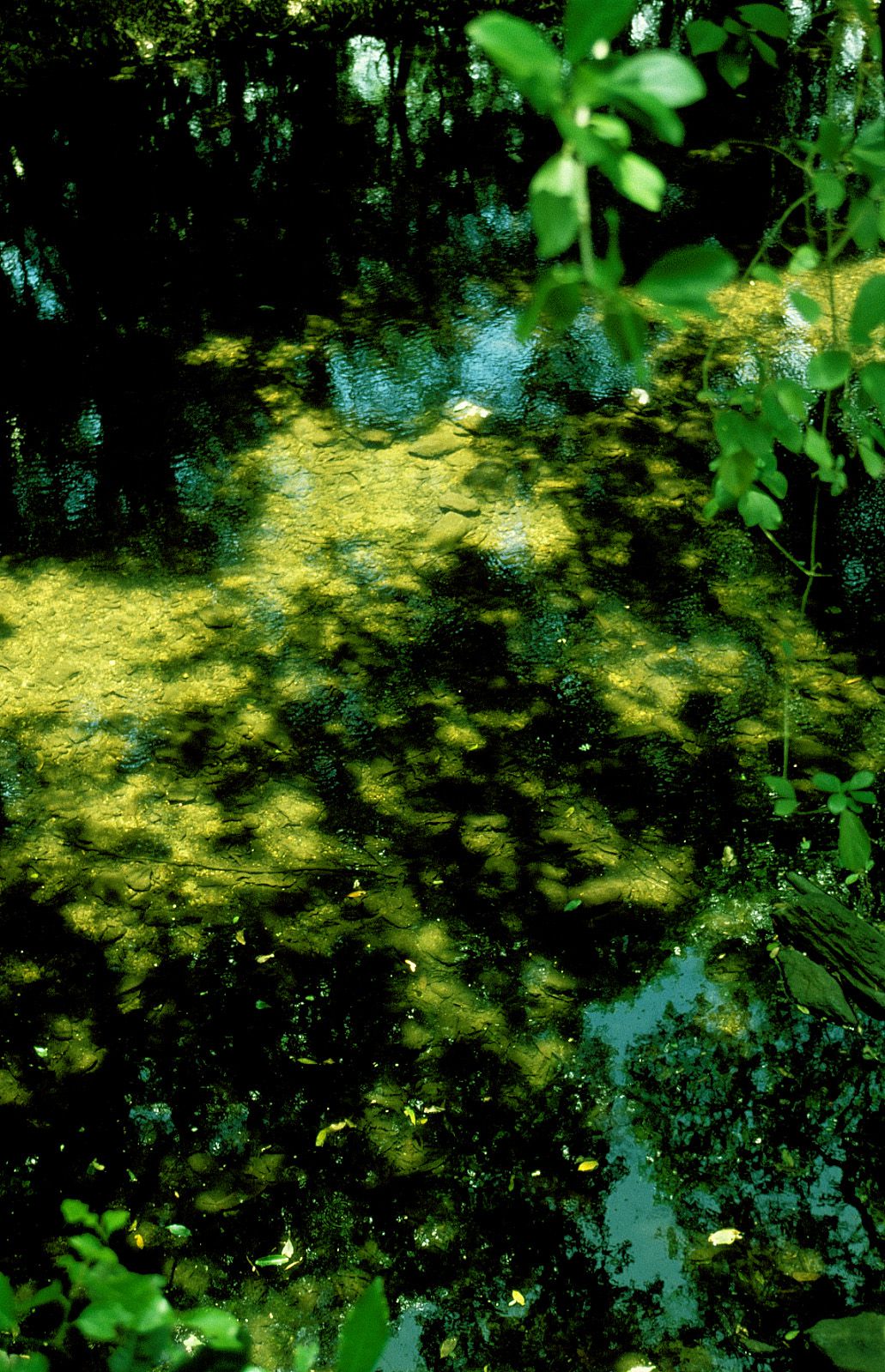 SF-No.186 Miyuu Inaba 稻葉美優/木村深華-图21