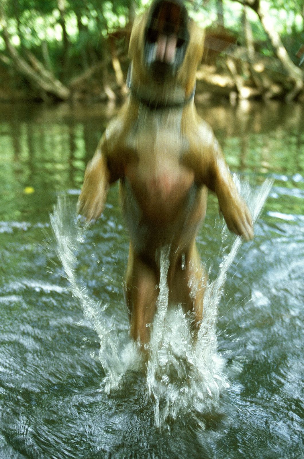 SF-No.186 Miyuu Inaba 稻葉美優/木村深華-图29