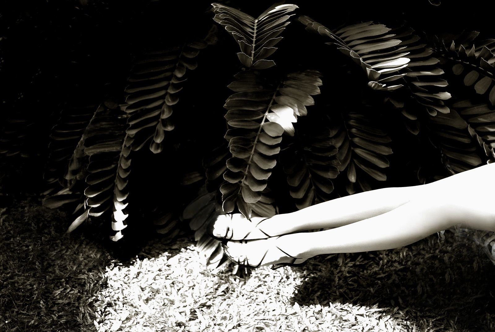 SF-No.186 Miyuu Inaba 稻葉美優/木村深華-图32