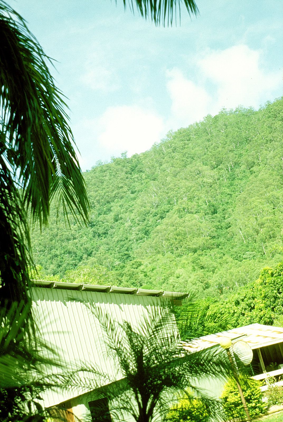 SF-No.186 Miyuu Inaba 稻葉美優/木村深華-图38