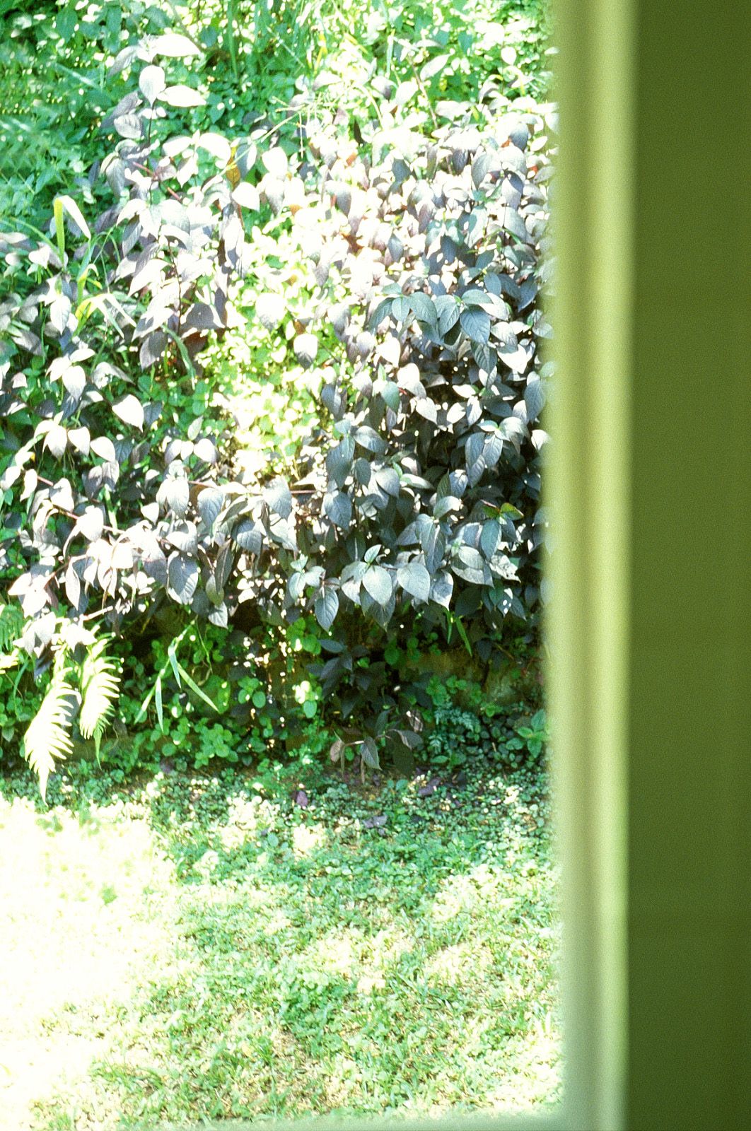 SF-No.186 Miyuu Inaba 稻葉美優/木村深華-图47