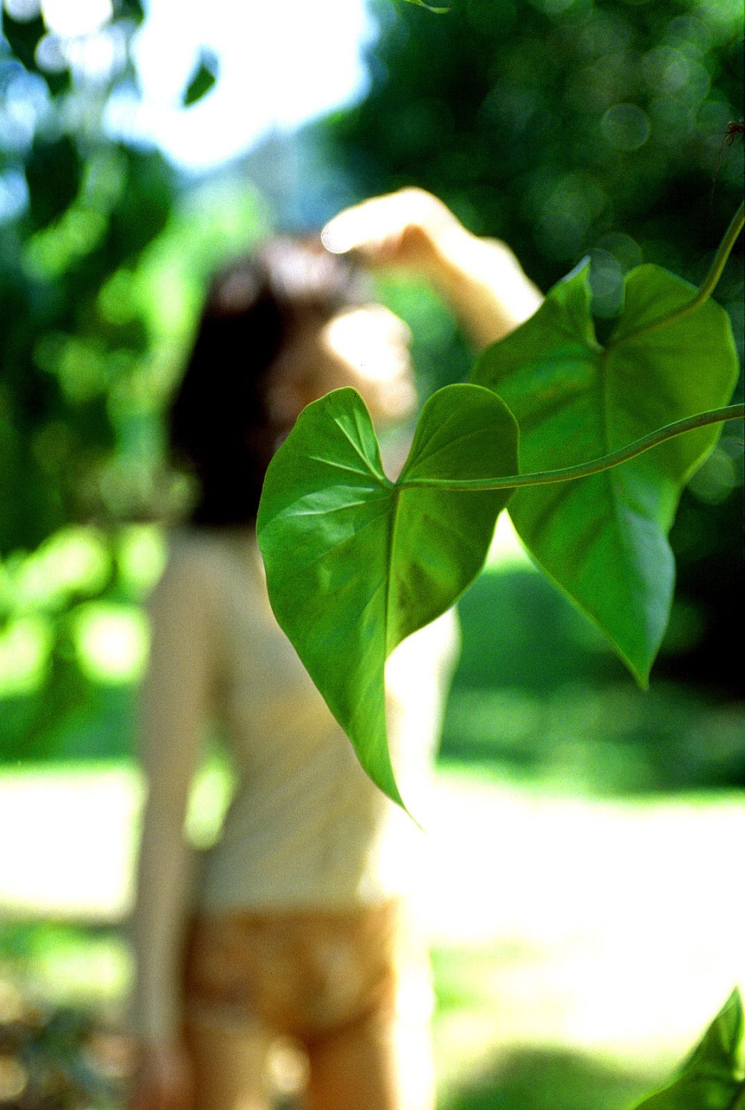 SF-No.186 Miyuu Inaba 稻葉美優/木村深華-图48