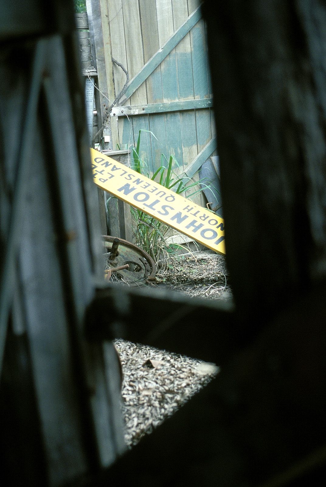 SF-No.186 Miyuu Inaba 稻葉美優/木村深華-图50