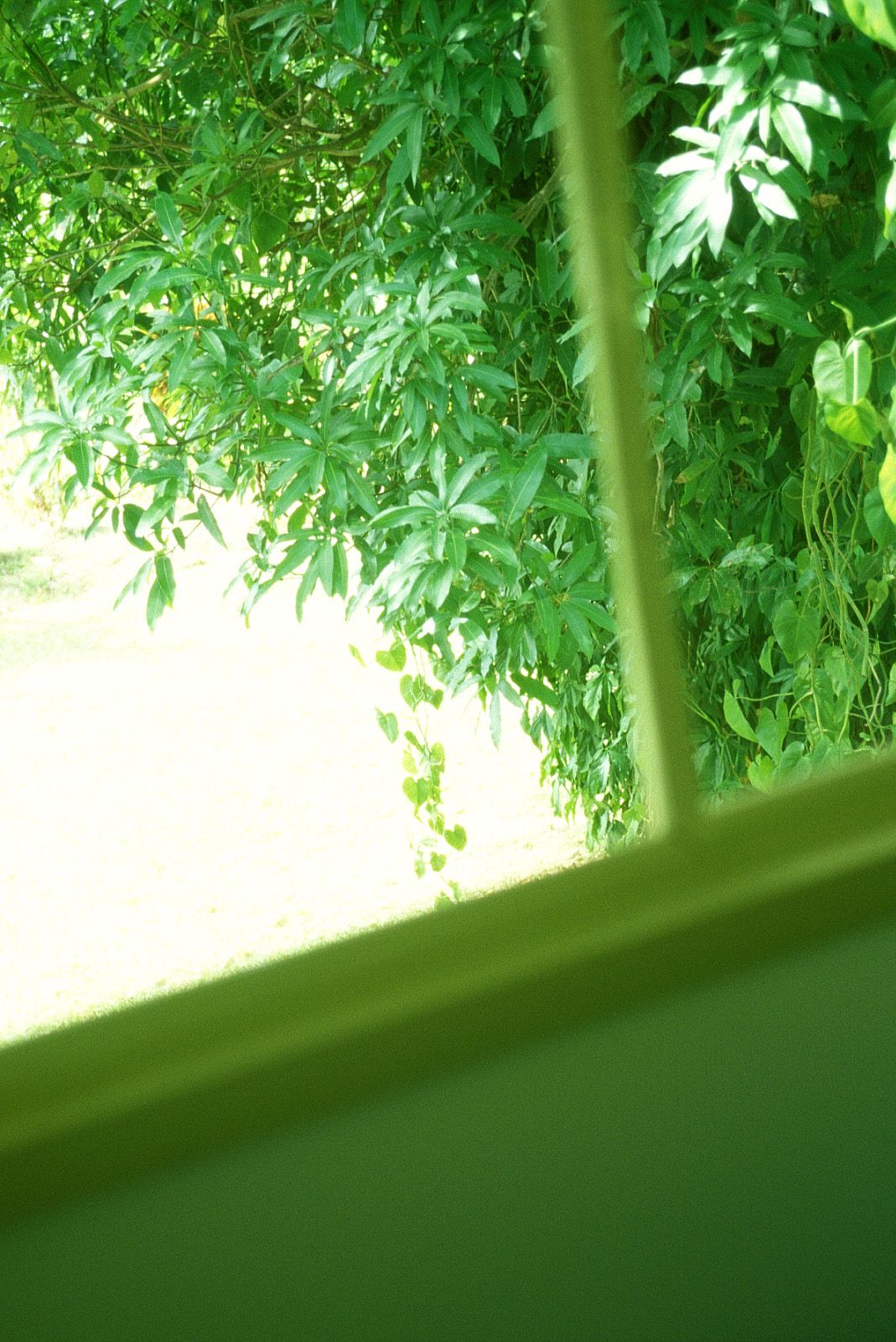 SF-No.186 Miyuu Inaba 稻葉美優/木村深華-图59