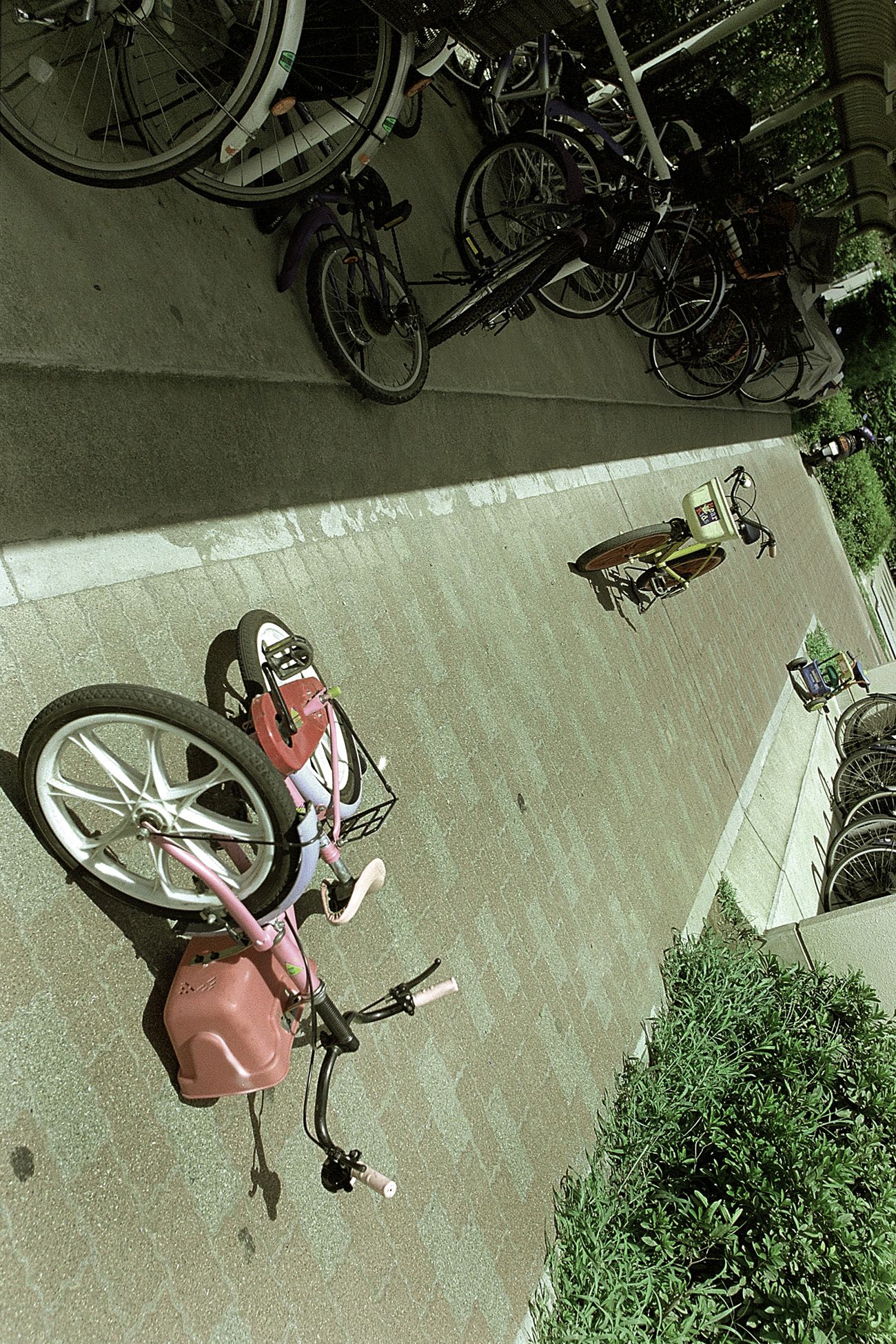 SF-No.198 Rina Uchiyama 内山理名-图23