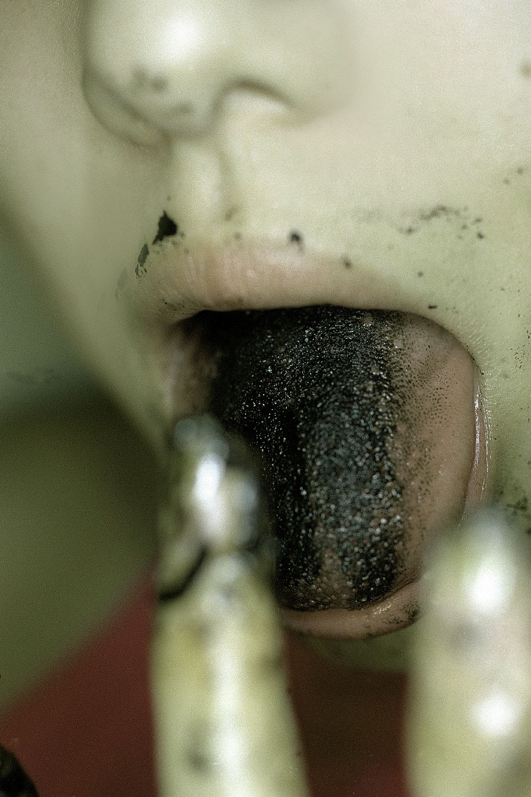 SF-No.198 Rina Uchiyama 内山理名-图44