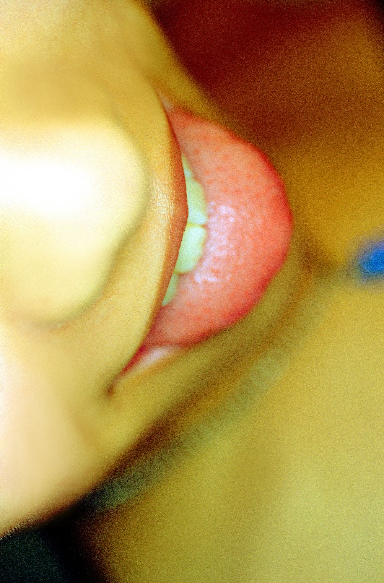 SF-No.198 Rina Uchiyama 内山理名-图54