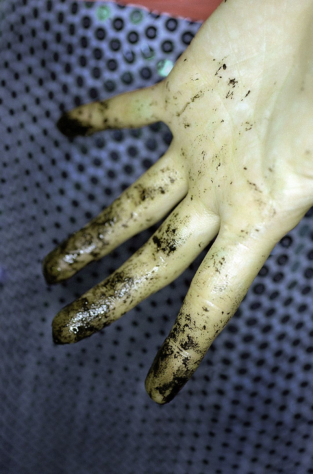 SF-No.198 Rina Uchiyama 内山理名-图77