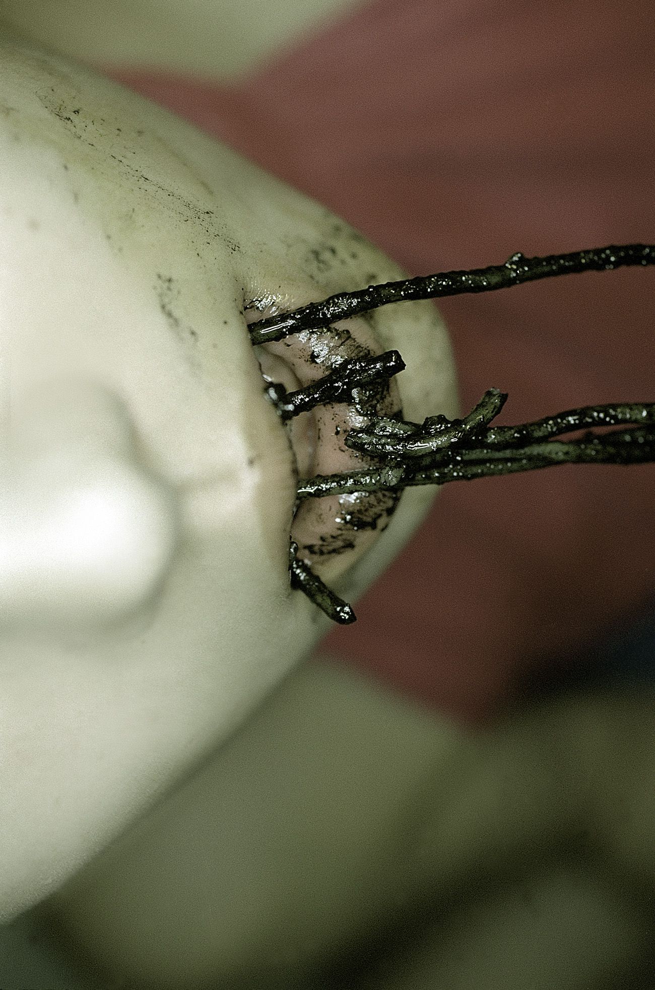 SF-No.199 Rina Uchiyama 内山理名/內山理名-图59