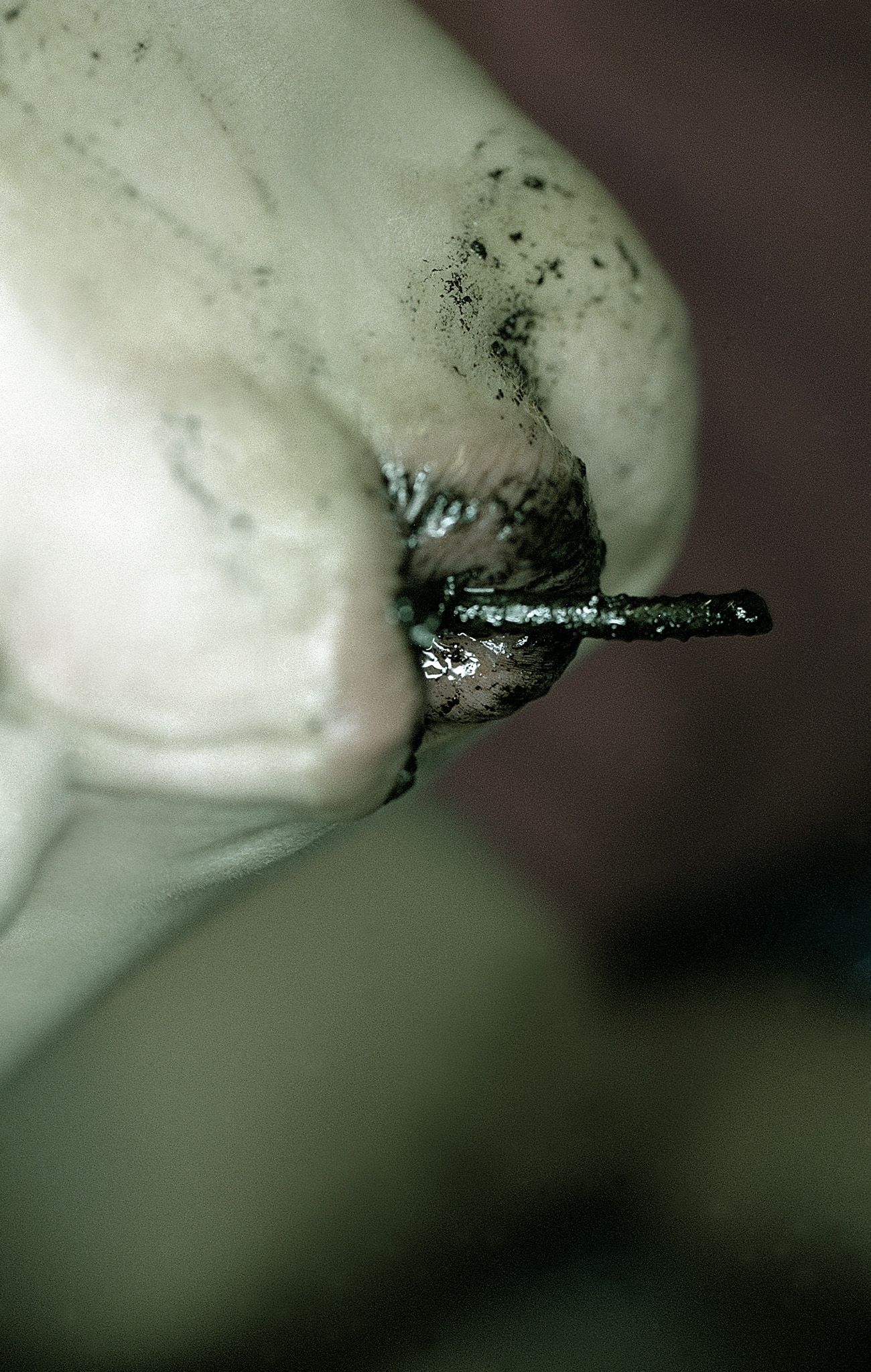 SF-No.199 Rina Uchiyama 内山理名/內山理名-图65