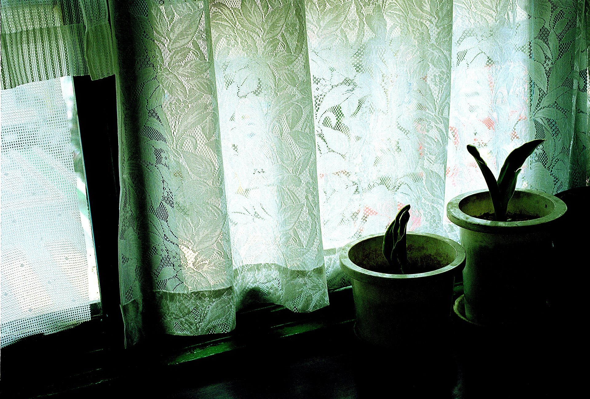 SF-No.199 Rina Uchiyama 内山理名/內山理名-图72