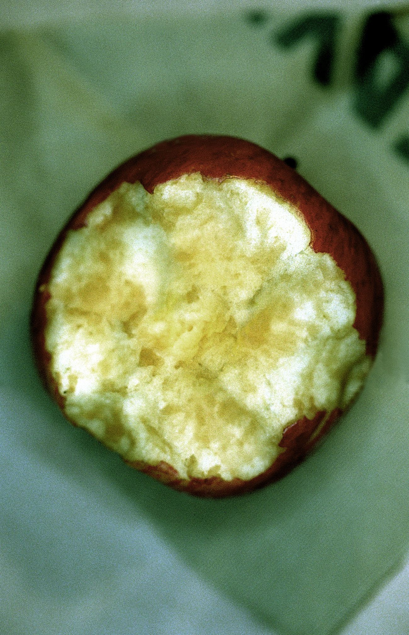 SF-No.199 Rina Uchiyama 内山理名/內山理名-图91