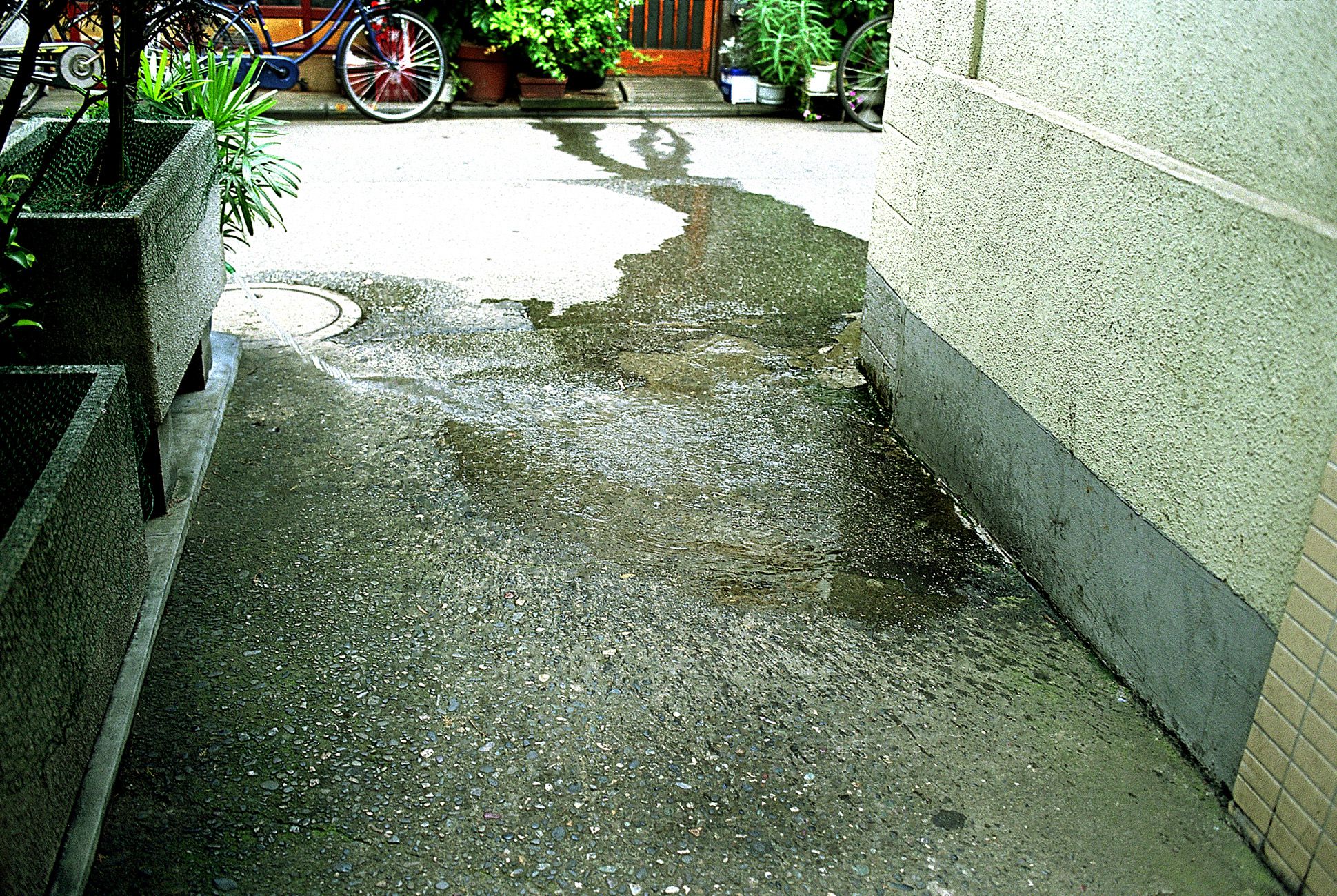 SF-No.200 Rina Uchiyama 内山理名-图19