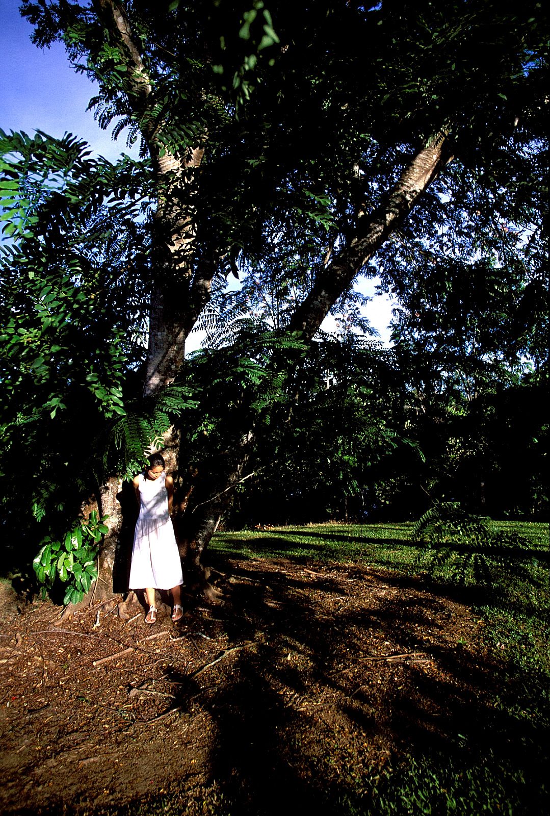 SF-No.201 Aki Nishihara 西原亚希 -UNDERAGE!-图10