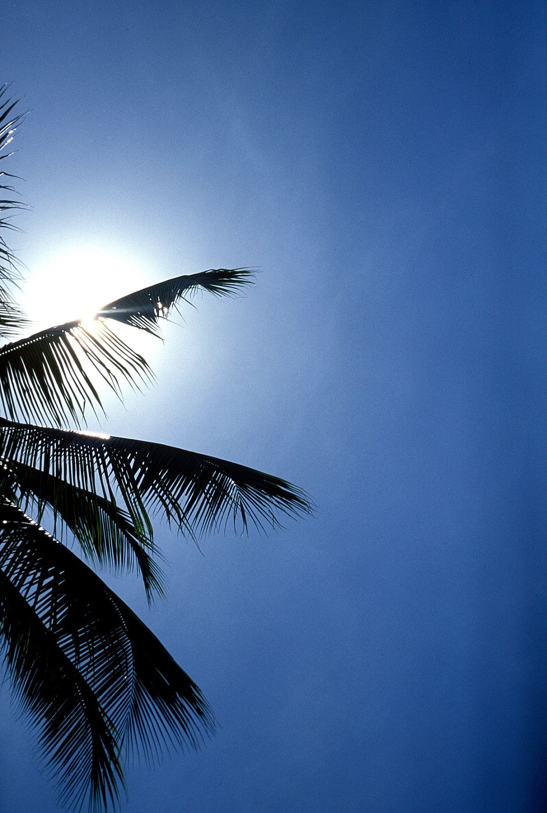 SF-No.201 Aki Nishihara 西原亚希 -UNDERAGE!-图22