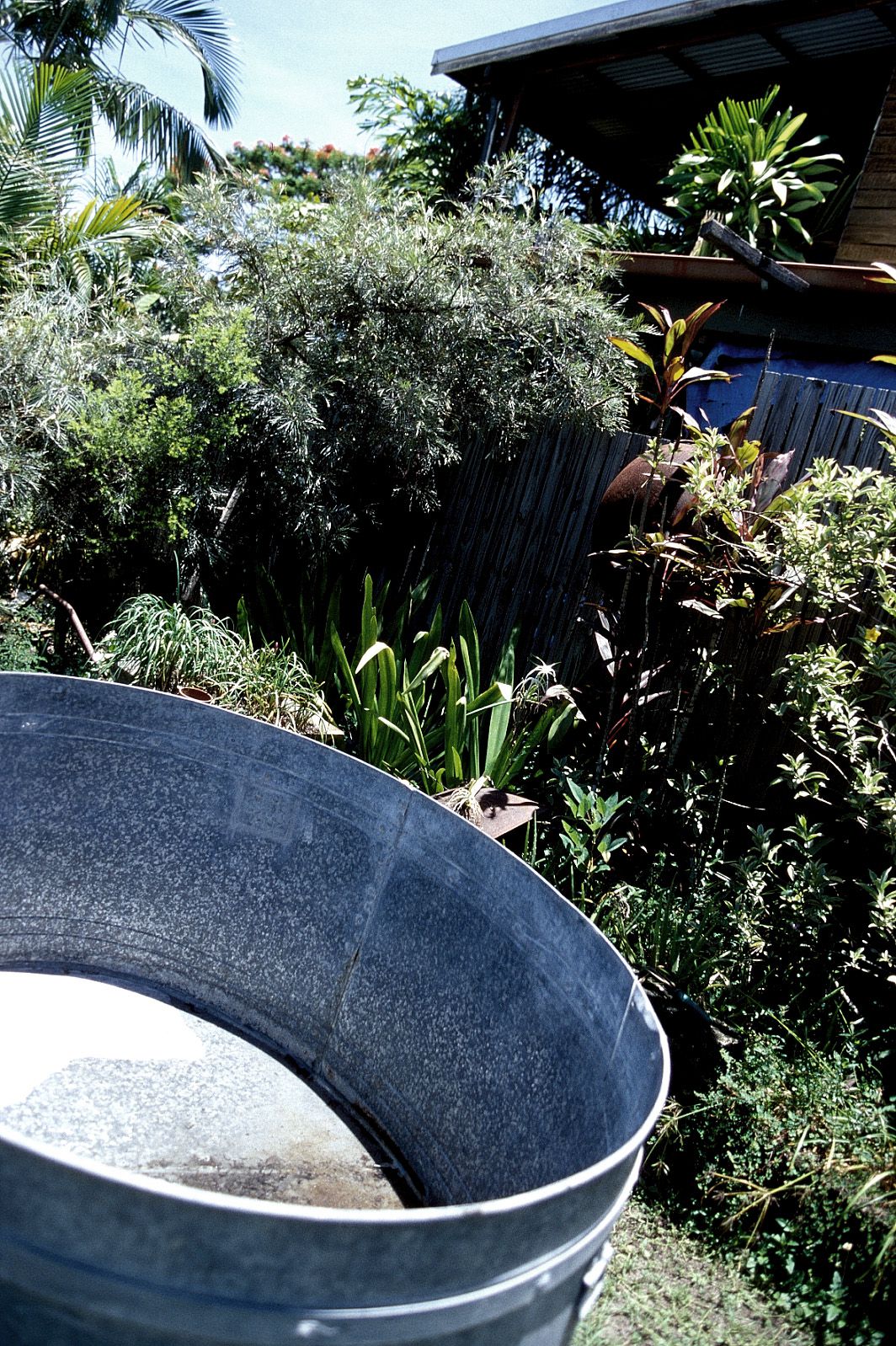 SF-No.201 Aki Nishihara 西原亚希 -UNDERAGE!-图37